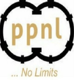IT Officer (NYSC) at Padua Petroleum Nigeria Limited (PPNL)
