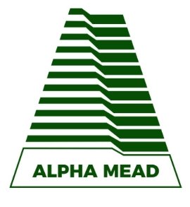 Project Architect at Alpha Mead Group